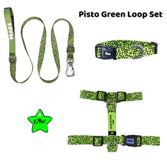 Pisto Green Loop | Tasma ve Künye Seti - Evcil hayvanlar için mükemmel bir ürün.