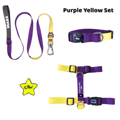 Purple Yellow | Tasma ve Künye Seti - Evcil hayvanlar için mükemmel bir ürün.