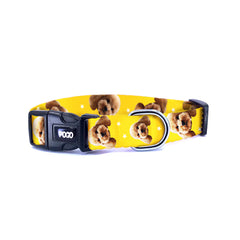 Vesikalık Bal Sarısı | Photo Dog Collar