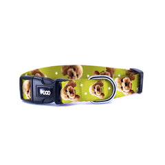 Vesikalık Zeytin Greeni | Photo Dog Collar