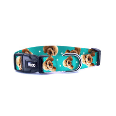 Vesikalık Aqua | Photo Dog Collar