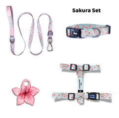 Sakura | Dog Collar Set