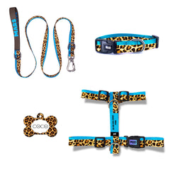 Leopard Blue | Dog Collar Set
