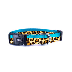 Leopard Blue | Dog Collar