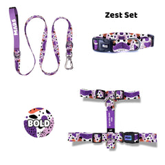 Zest | Dog Collar Set
