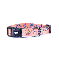 Butterflies | Dog Collar