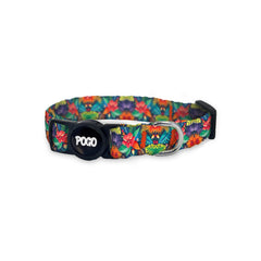 Colorful Flowers | Kedi Tasması