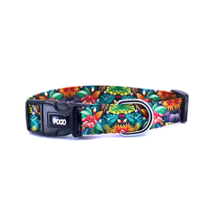 Colorful Flowers | Dog Collar