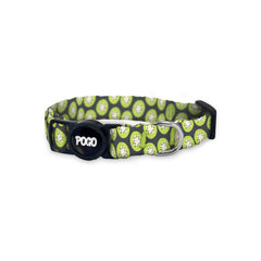 Kiwi | Cat Collar