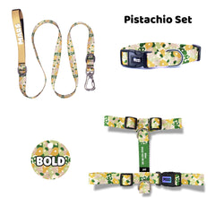 Pistachio | Dog Collar Set