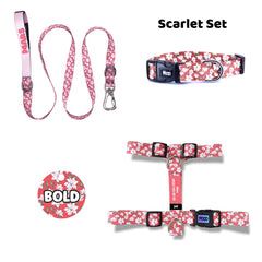 Scarlet | Dog Collar Set