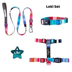 Loki | Tasma ve Künye Seti - Evcil hayvanlar için mükemmel bir ürün.