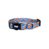 Tango | Cat Collar