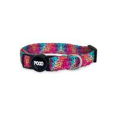 Roar | Cat Collar