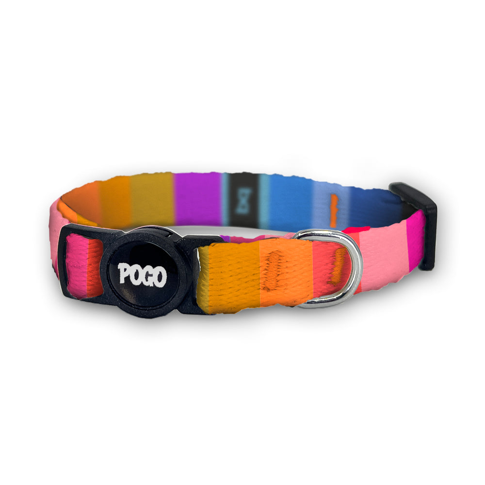 Loki | Kedi Tasması - Evcil hayvanlar için mükemmel bir ürün.