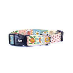 Groovy | Dog Collar