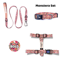 Monstera | Dog Collar Set