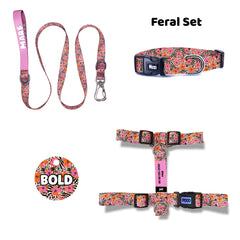 Feral | Dog Collar Set