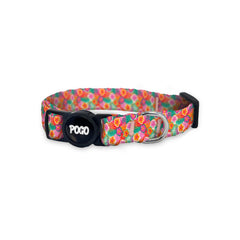Exotic | Cat Collar