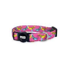 Funky | Cat Collar
