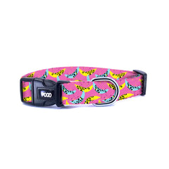 Funky | Dog Collar