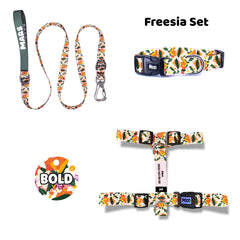 Freesia | Dog Collar Set
