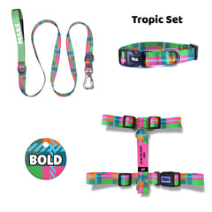 Tropic | Dog Collar Set