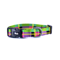Neon Night | Dog Collar