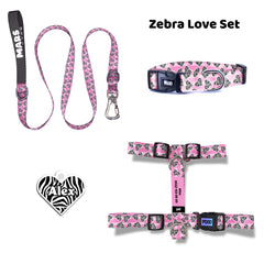 Zebra Love | Dog Collar Set