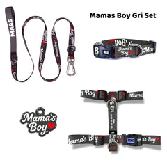 Mamas Boy Gray | Dog Collar Set