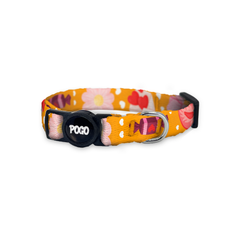 Vale Orange | Cat Collar