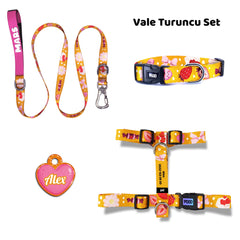 Vale Orange | Dog Collar Set