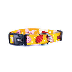 Vale Orange | Dog Collar
