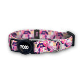 Destiny | Kedi Tasması - Evcil hayvanlar için mükemmel bir ürün.