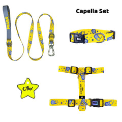 Capella | Tasma ve Künye Seti - Evcil hayvanlar için mükemmel bir ürün.