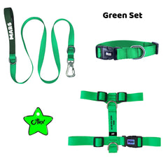 Green | Tasma ve Künye Seti - Evcil hayvanlar için mükemmel bir ürün.