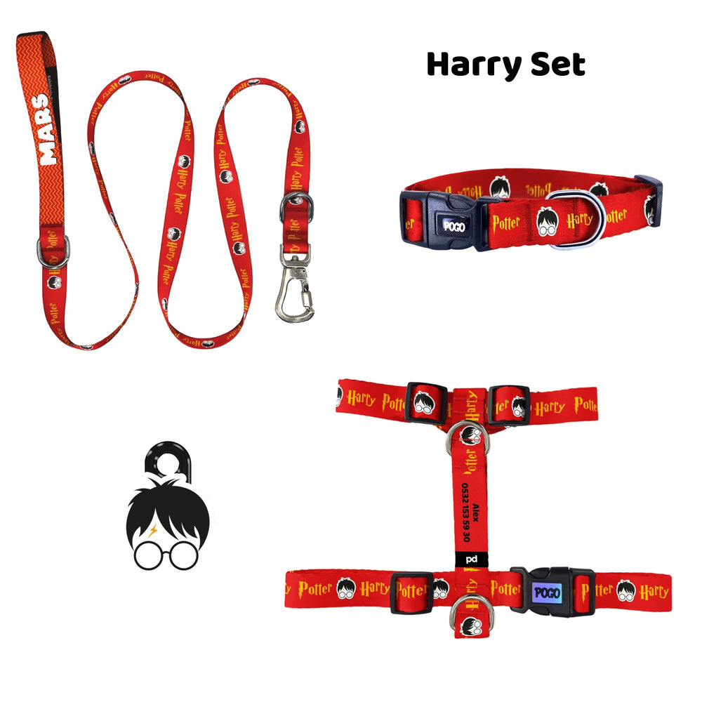 Harry | Tasma ve Künye Seti - Evcil hayvanlar için mükemmel bir ürün.