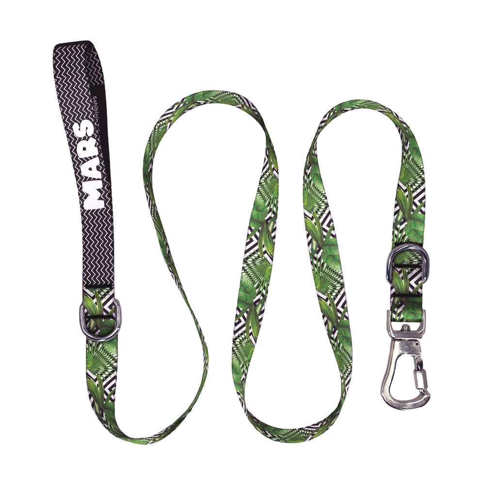 Flexi | Gezdirme Kayışı - Evcil hayvanlar için mükemmel bir ürün.