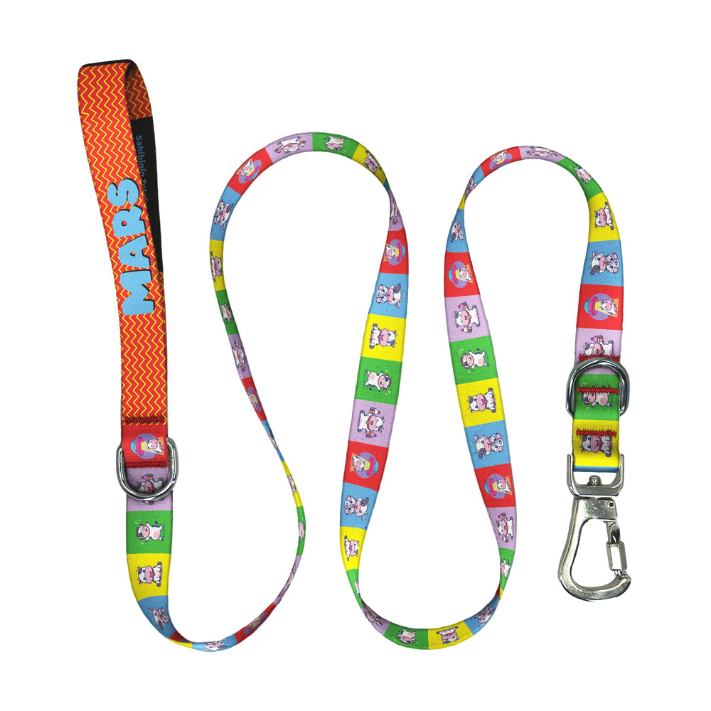 Jolly | Gezdirme Kayışı - Evcil hayvanlar için mükemmel bir ürün.