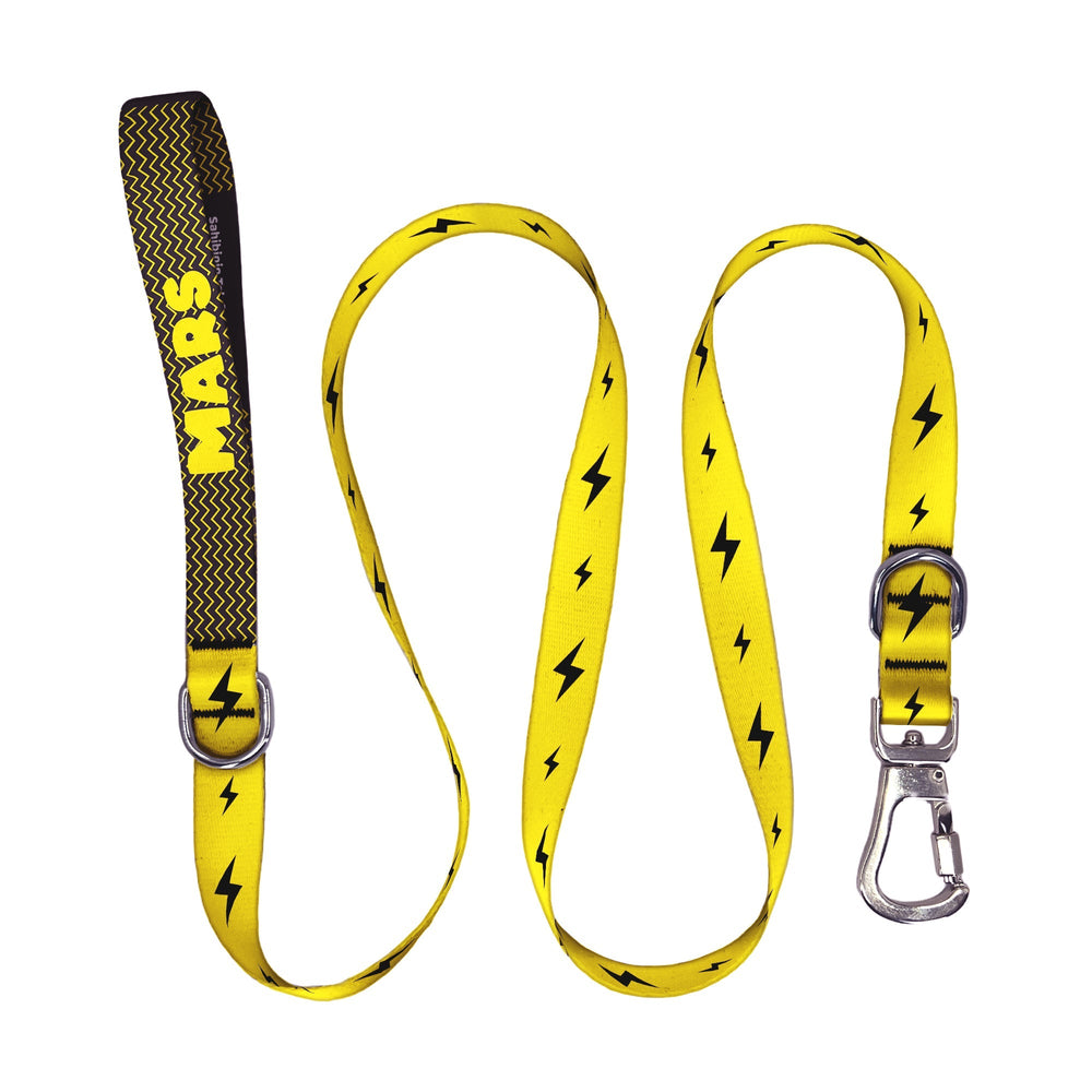 Flash | Gezdirme Kayışı - Evcil hayvanlar için mükemmel bir ürün.