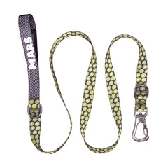 Kiwi | Gezdirme Kayışı