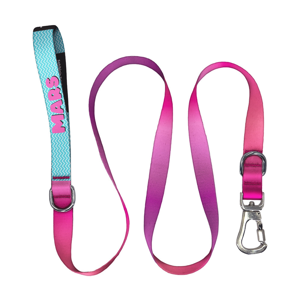 PinkFade | Gezdirme Kayışı - Evcil hayvanlar için mükemmel bir ürün.