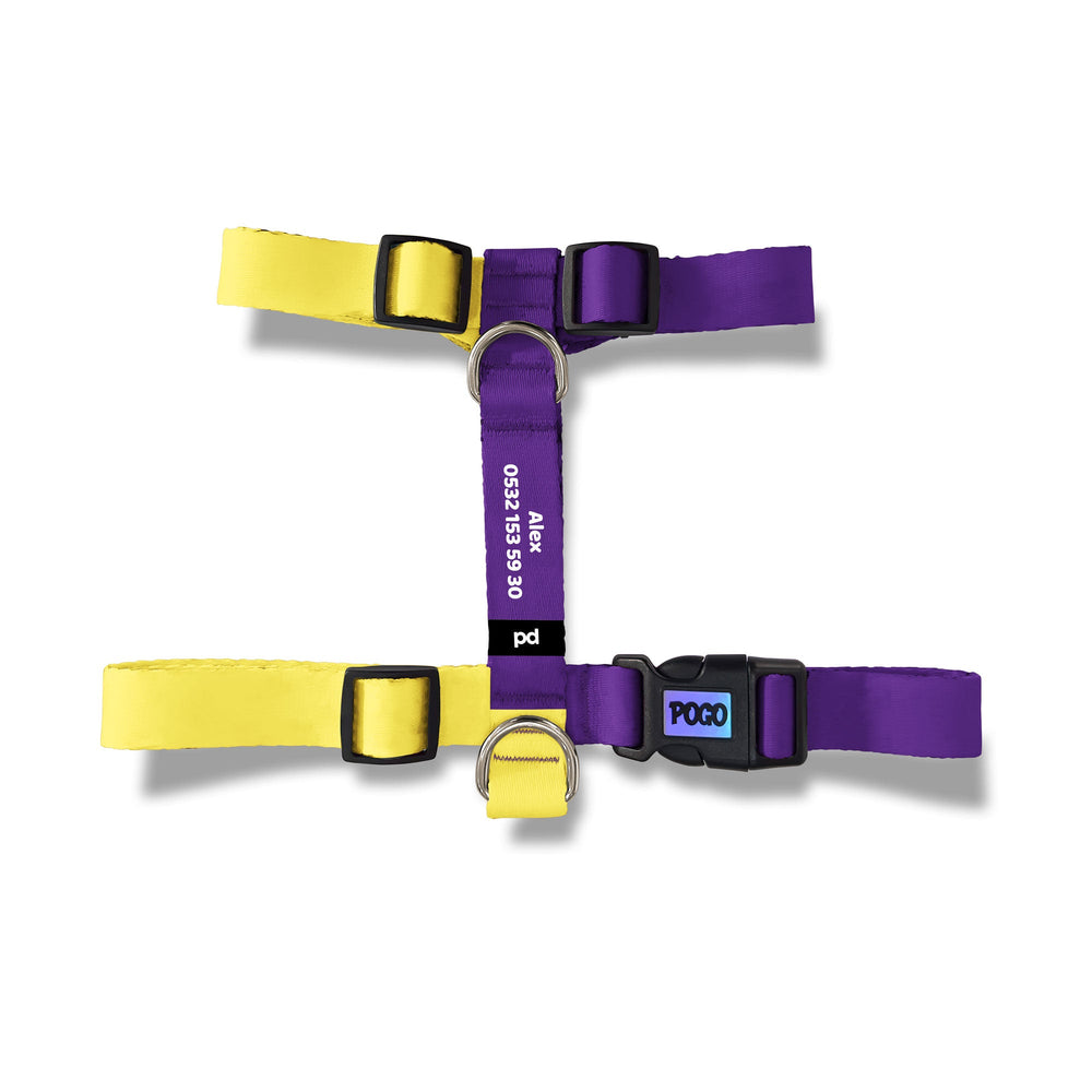 Purple Yellow | Köpek Göğüs Tasması - Evcil hayvanlar için mükemmel bir ürün.