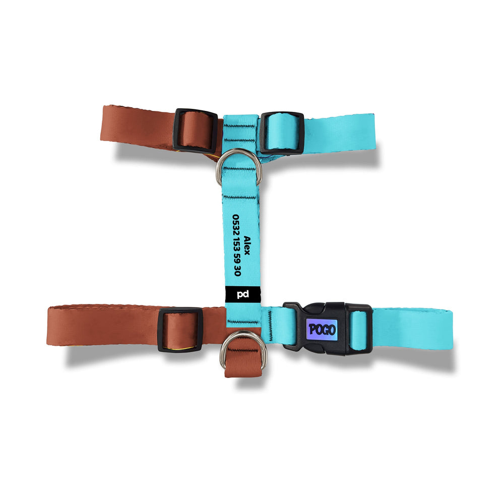 Brown Teal | Köpek Göğüs Tasması - Evcil hayvanlar için mükemmel bir ürün.