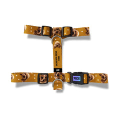 Vesikalık Gold Brown | Photo Dog Harness