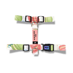 Macaron | Dog Harness
