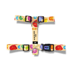 Jelly Beans | Köpek Göğüs Tasması