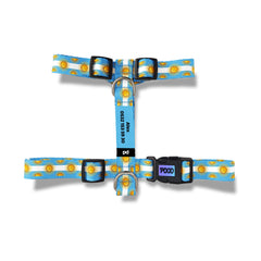 Argentina | Dog Harness
