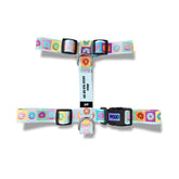 Donutify | Köpek Göğüs Tasması