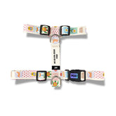 Groovy | Köpek Göğüs Tasması